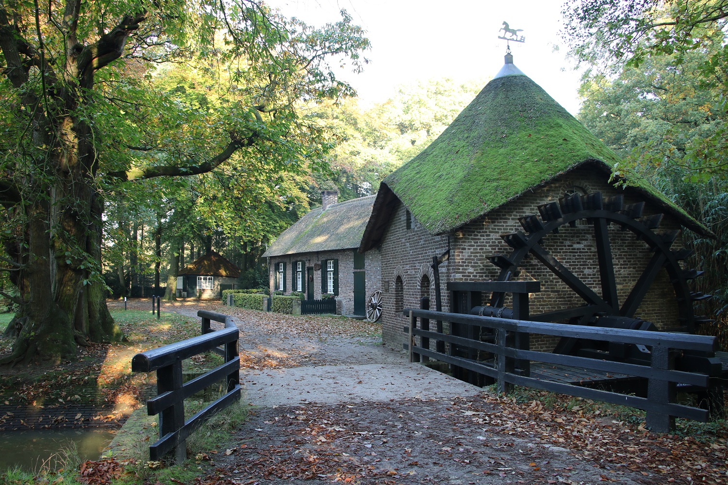 Wandelroute Geijsteren