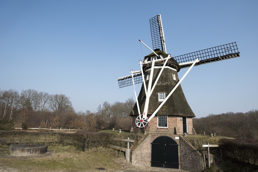 Fietsroute Dwingelderveld