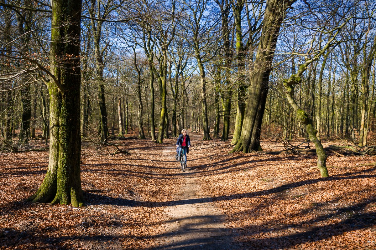 Fietsroute Elspeet door Kroondomein Het Loo