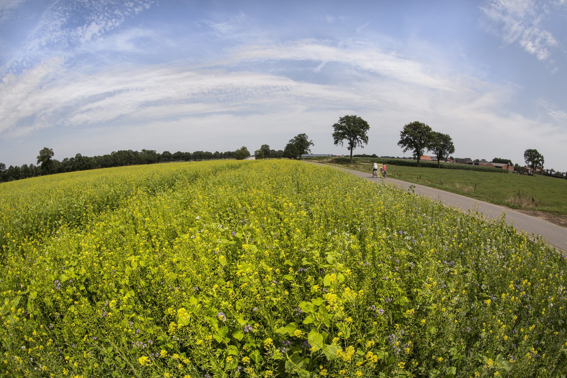 Fietsen door de Noorderkempen