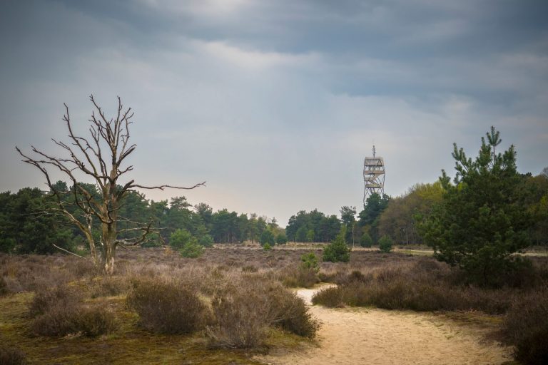 de brandtoren op de Kalmthoutse Heide is tijdens de Dag van de Stilte uitzonderlijk toegankelijk voor het publiek