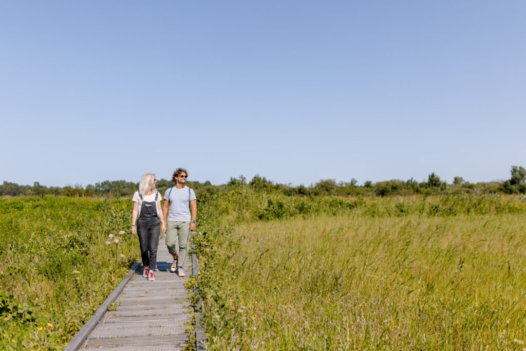 Lauwersmeer