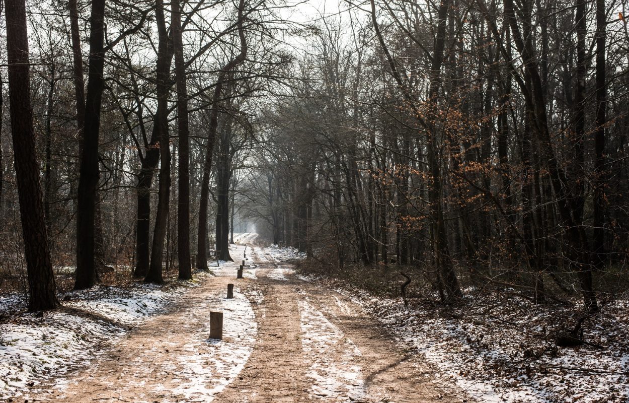 wandelroute ootmarsum