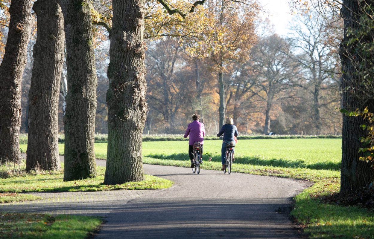 Fietsroute Lemele