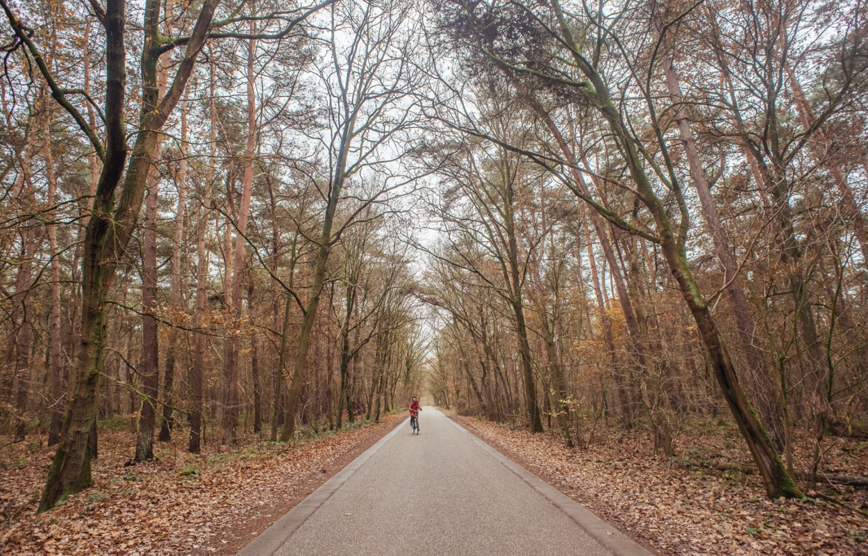 Fietsroute Montfort