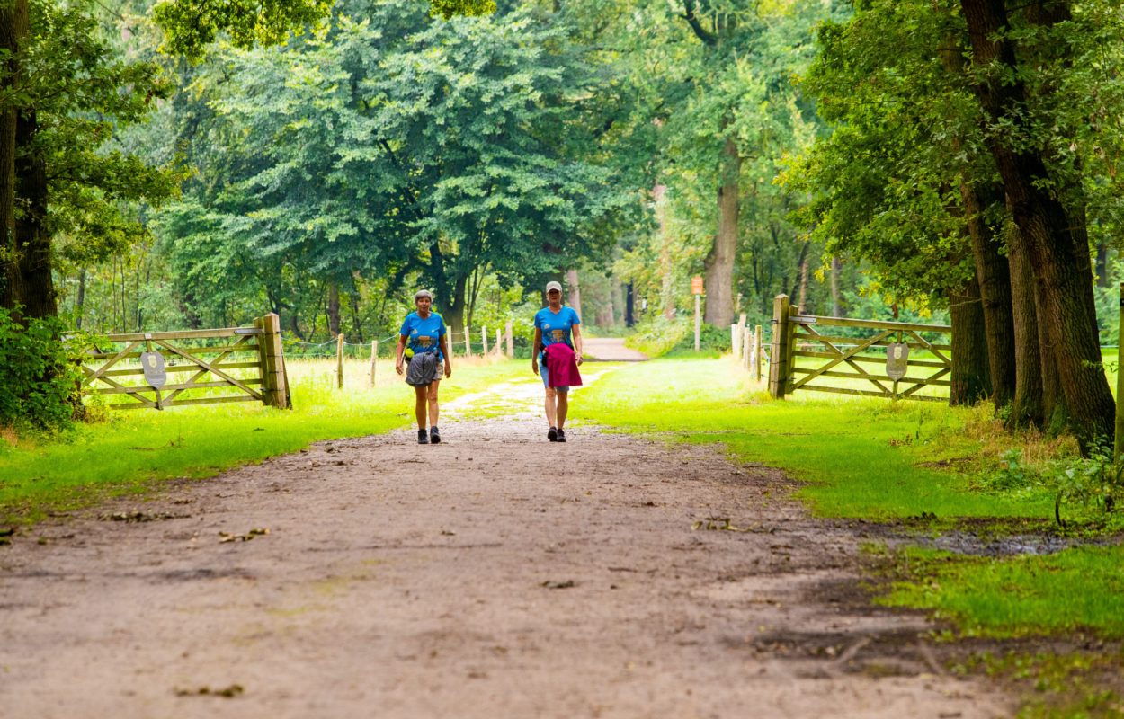 2019_08_18_11_23_Soesterwandelweekend zondag_ Sjoerd _8681