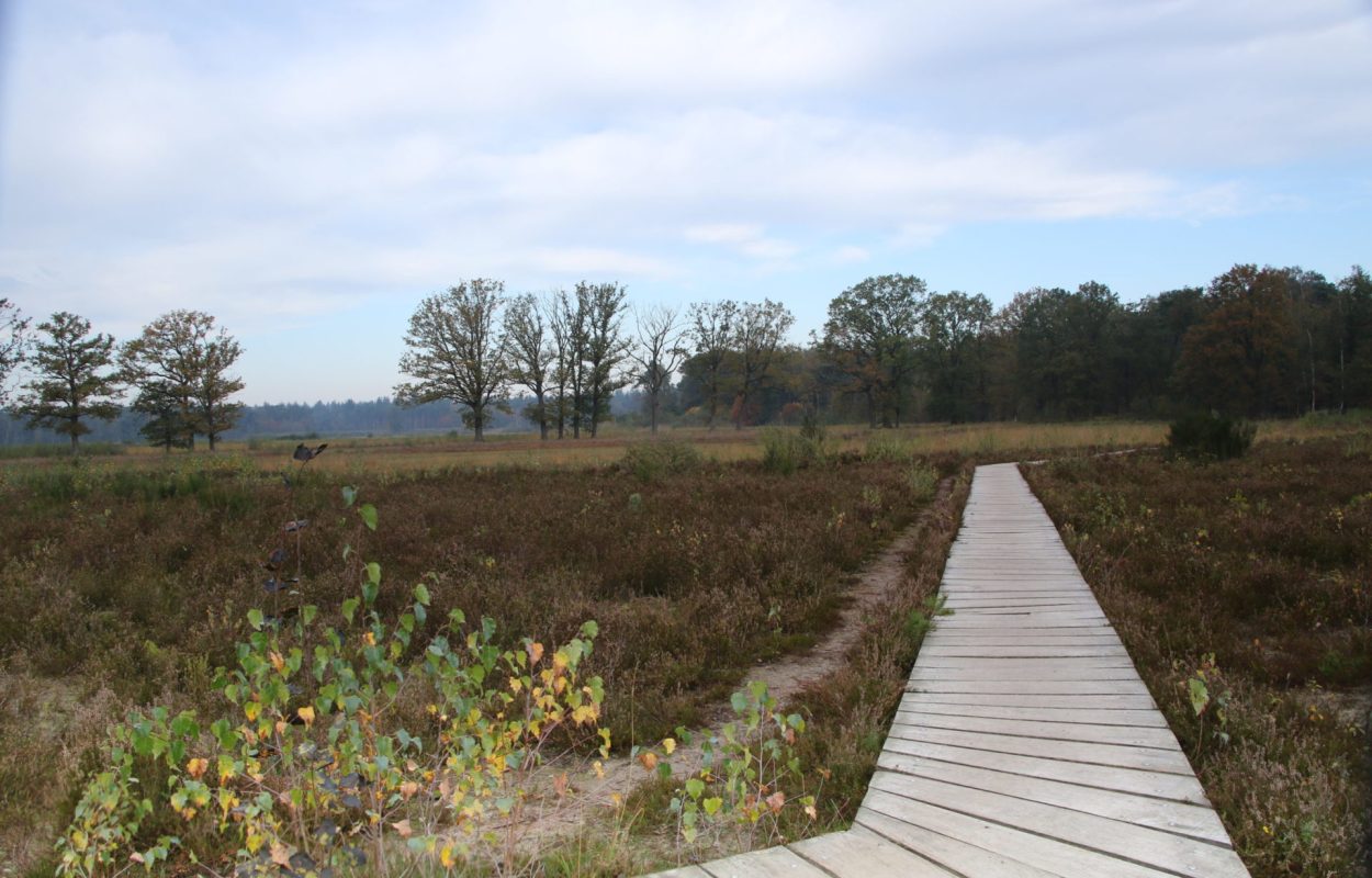 Wandelroute Breda