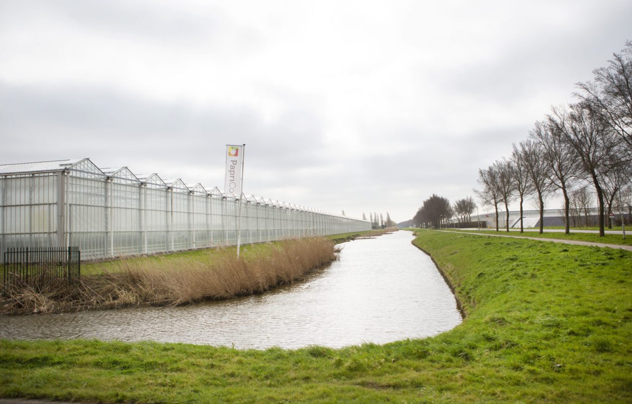 Kassen in West-Friesland