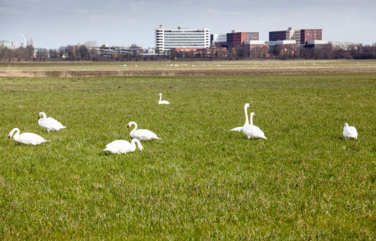 Foto Margriet Spangenberg