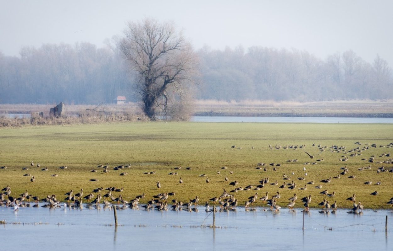 Fietsroute Terwolde