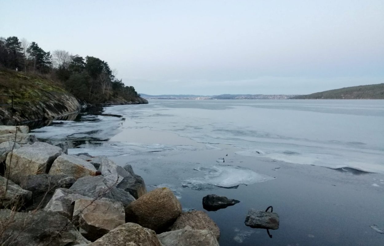 Winterzwemmen in natuurwater