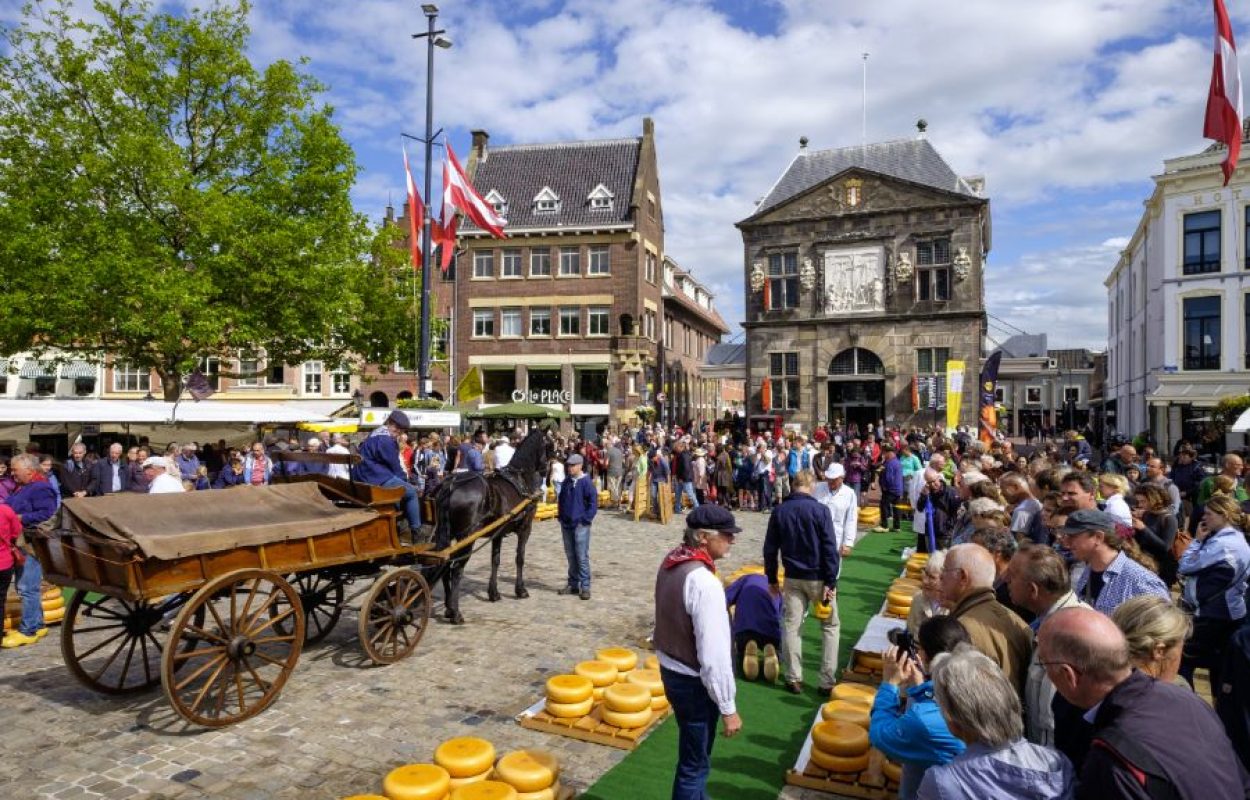 Kaasmarkt in Gouda