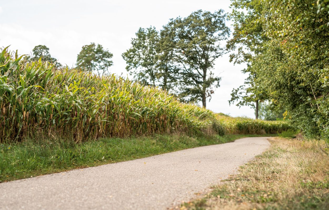 Fietsroute Balen