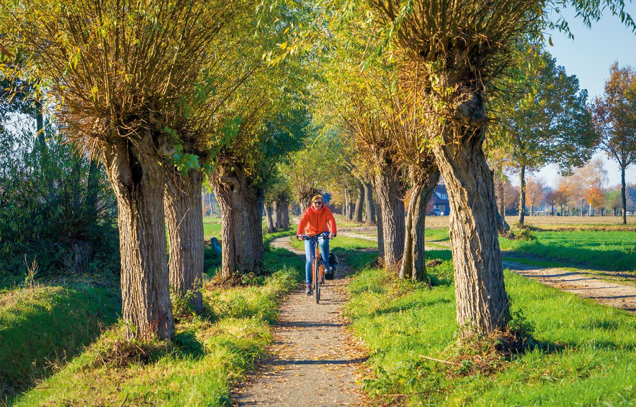 Fietsen door de Maasheggen