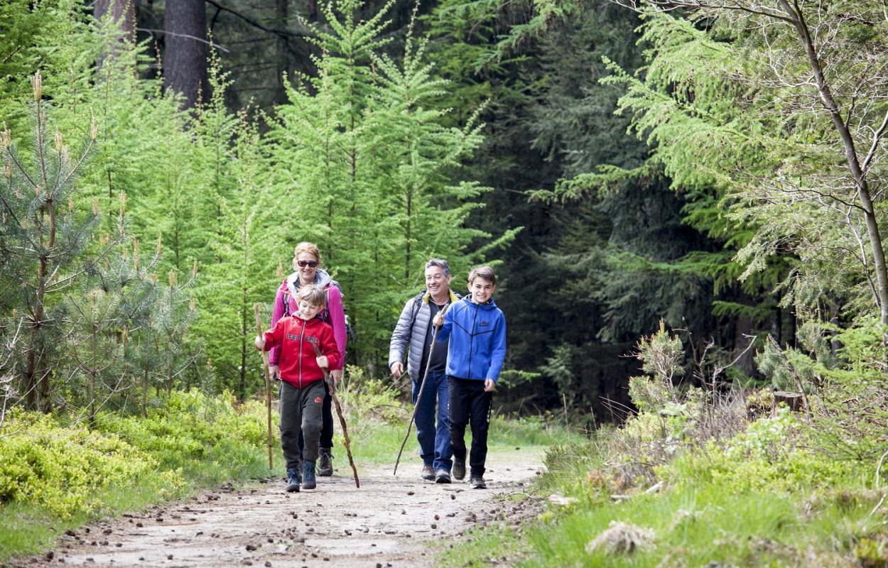 Wandelroute Loenen