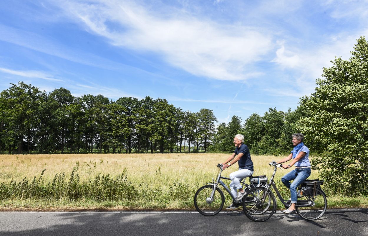 Grebbelinie, Utrechtse Heuvelrug