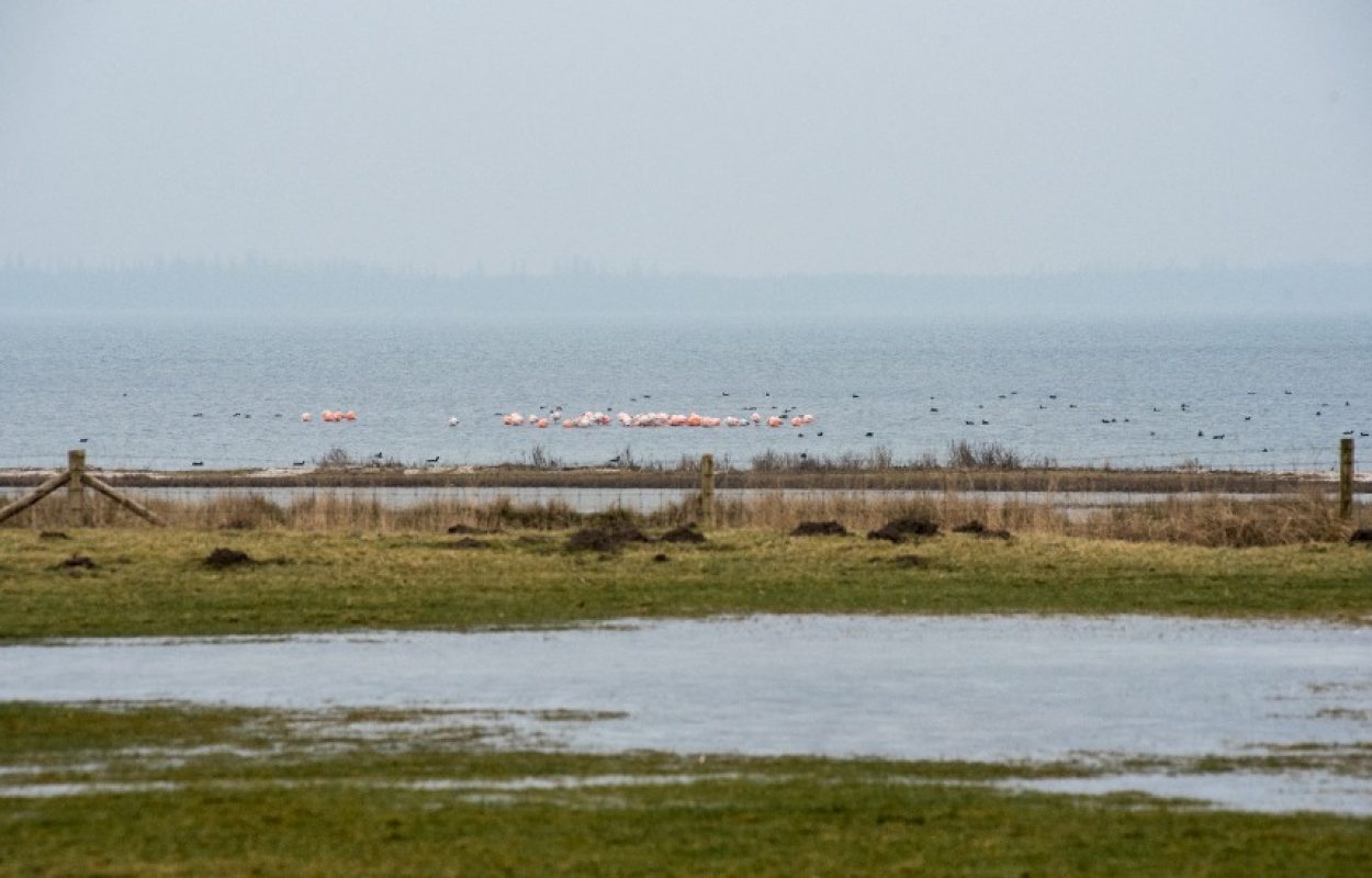 Foto Laurie Karine van Dam en Manja Herrebrugh