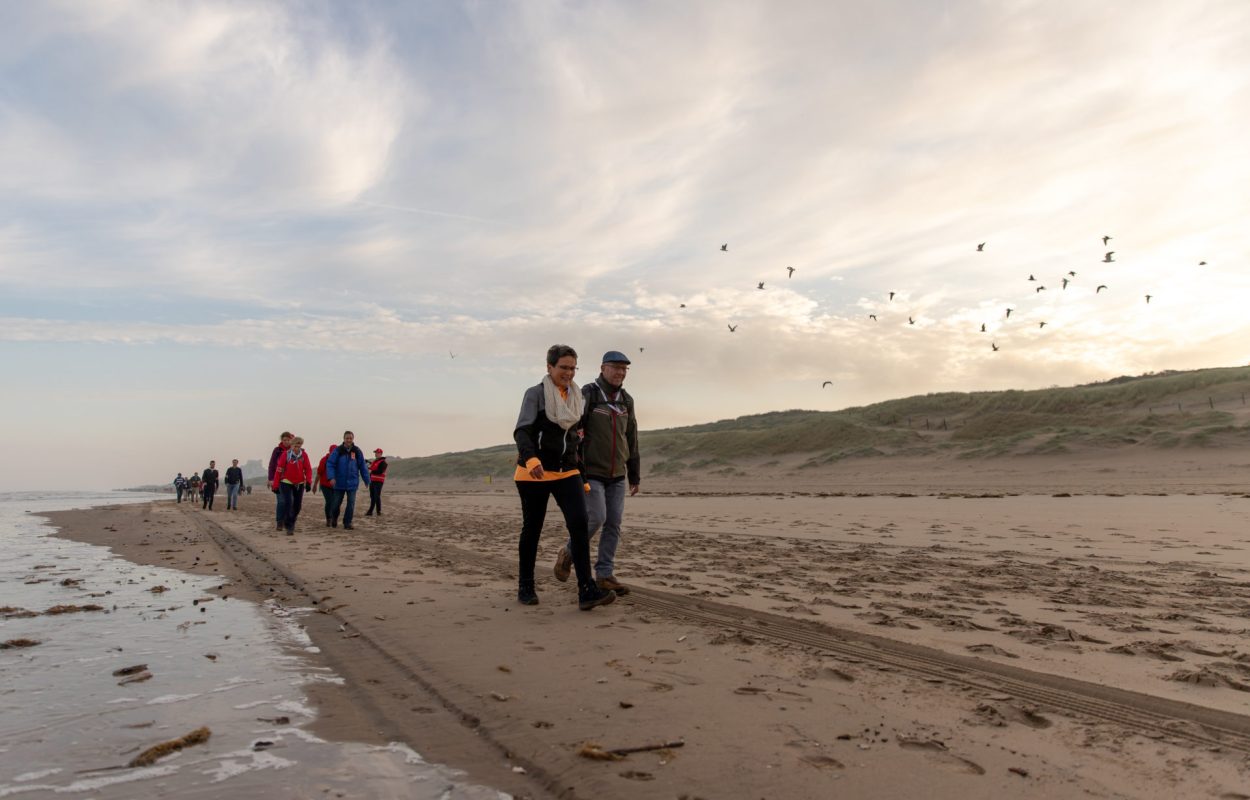 De routes voeren over het strand, maar ook door duingraslanden.