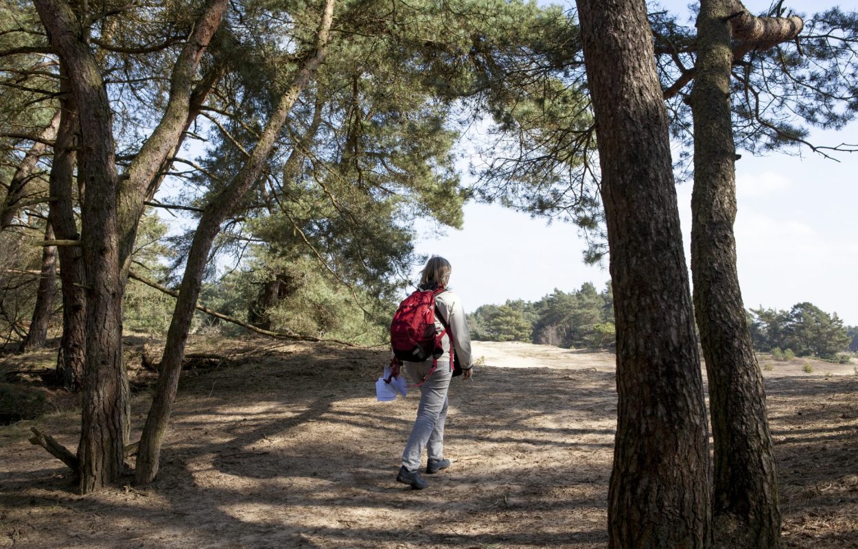 Wandelroute Kootwijk