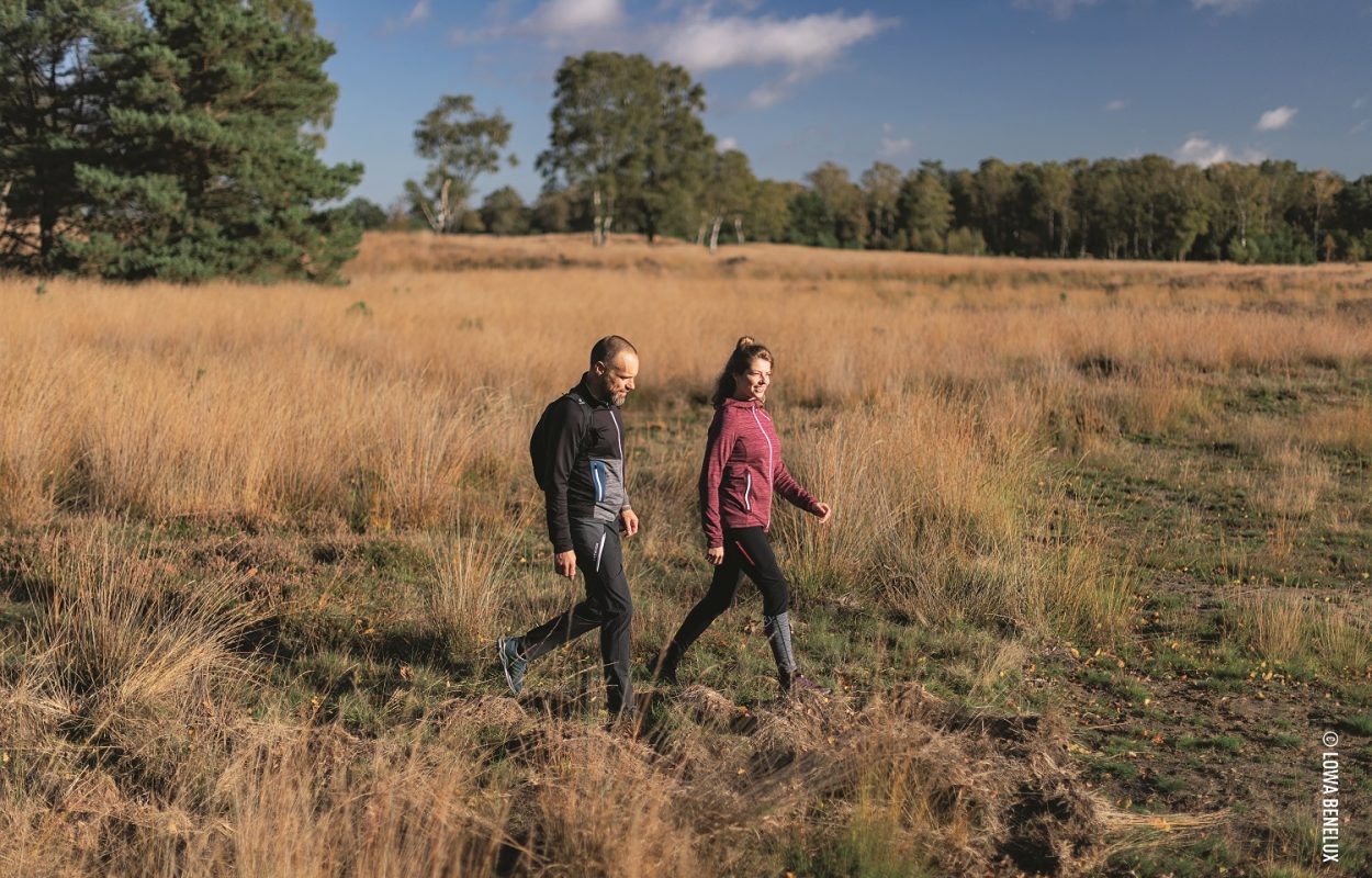 lowa perfecte wandelschoen