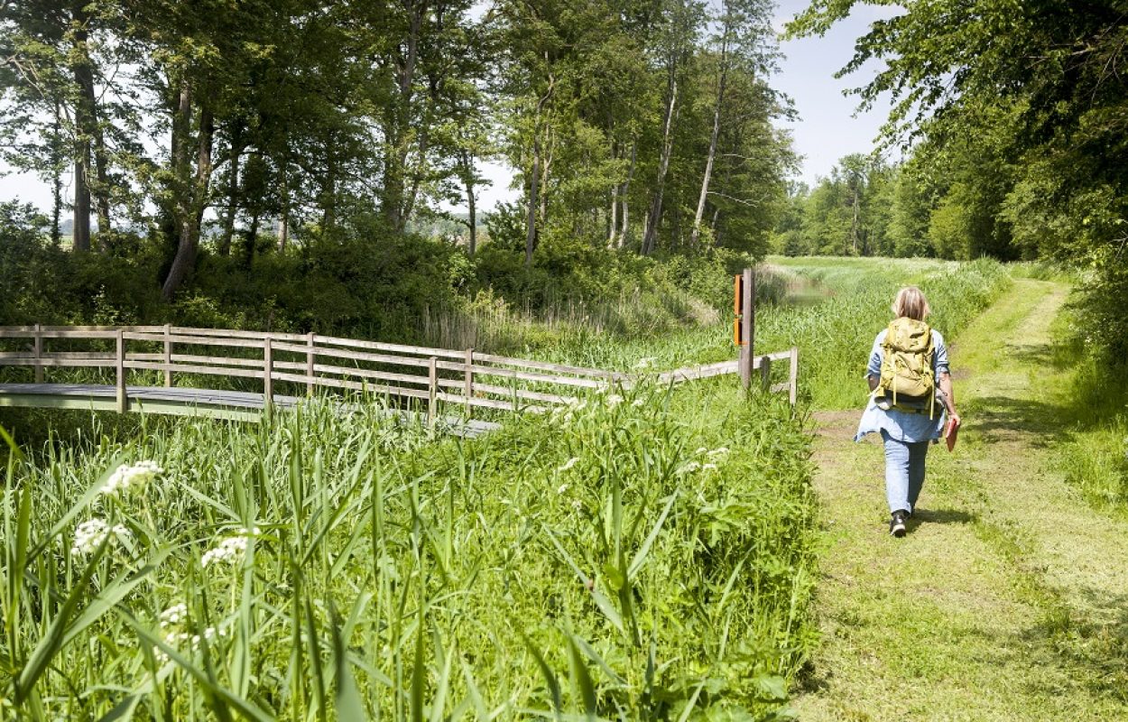 Roggebotzand wandelroute Dronten