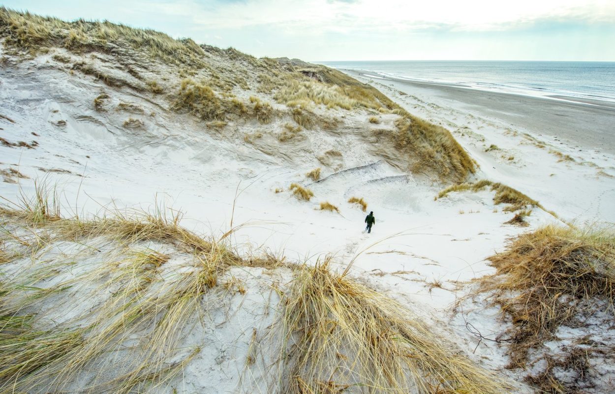 omringd door natuur