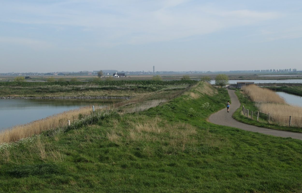 Wandelroute Tholen: vogelen in de Scherpenissepolder