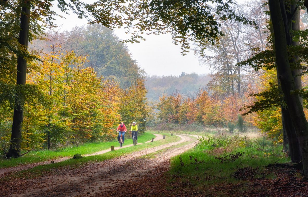 Fietsroute Ootmarsum