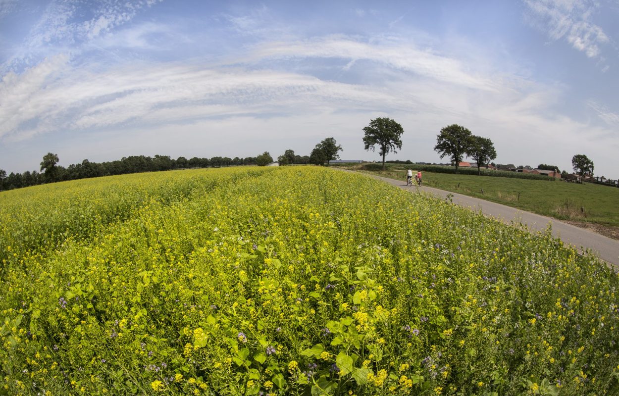 Fietsen door de Noorderkempen