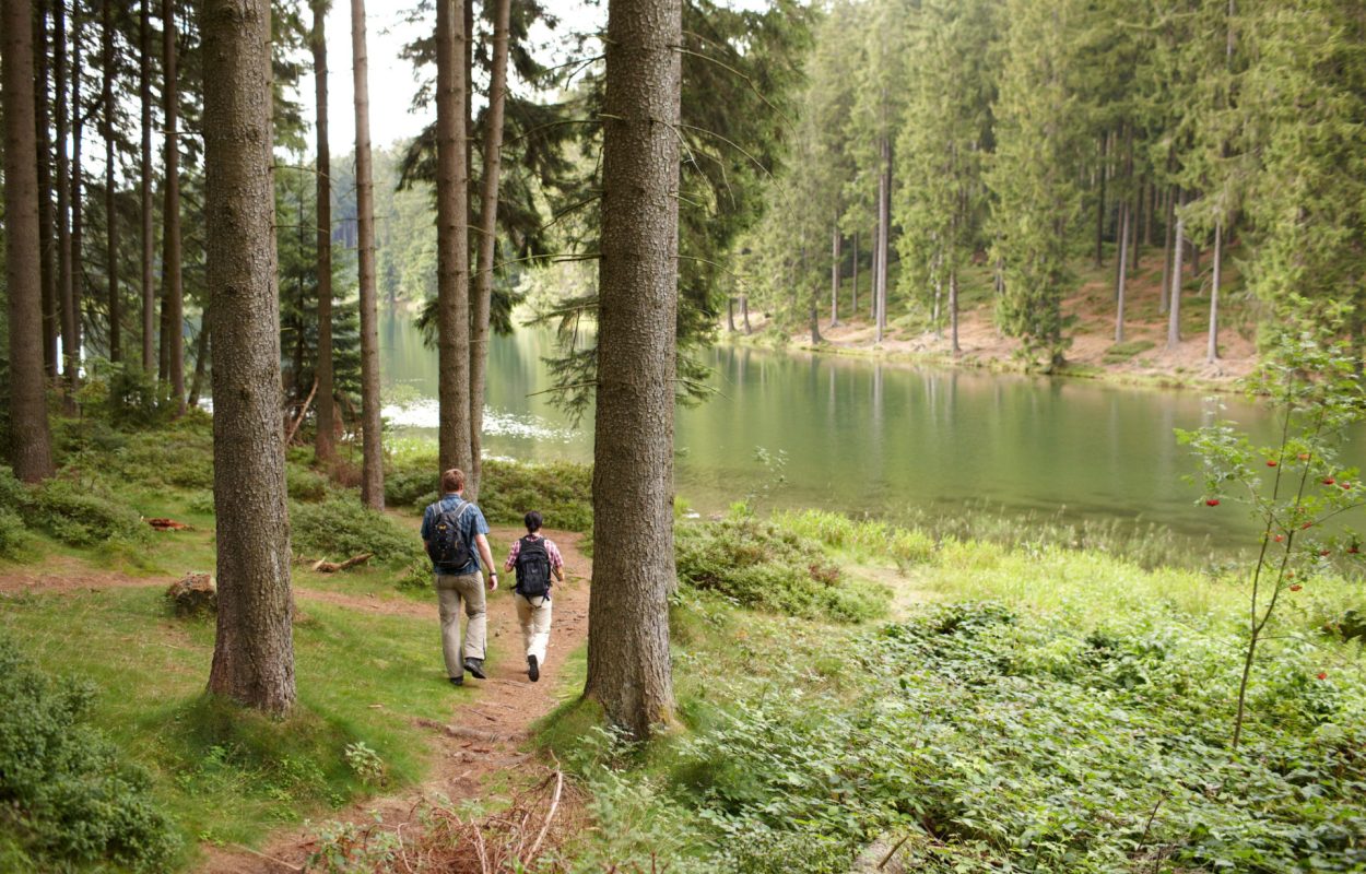 Vijvers in de Oberharz_Harzer Tourismusverband, M. Gloger