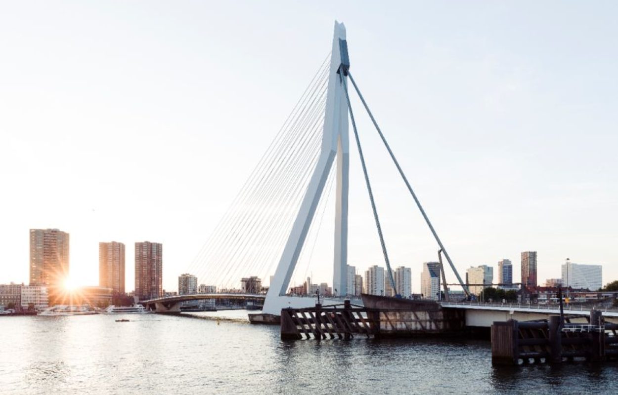 wandelroute Rotterdam: Manhattan aan de Maas