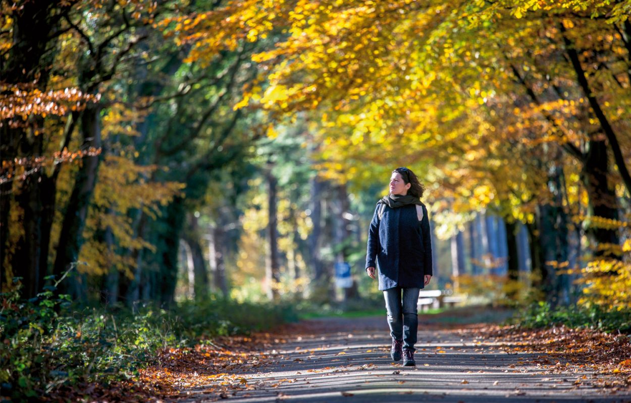 Wandelroute Grolloo