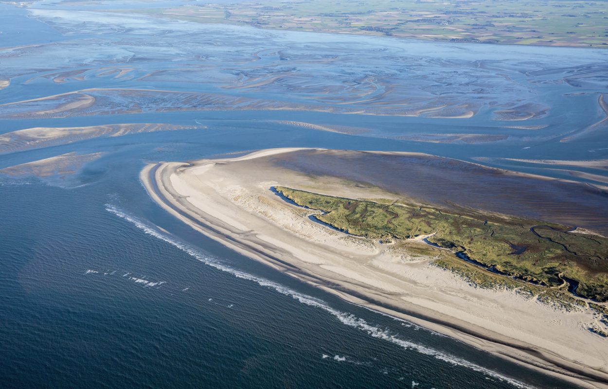 de wadden