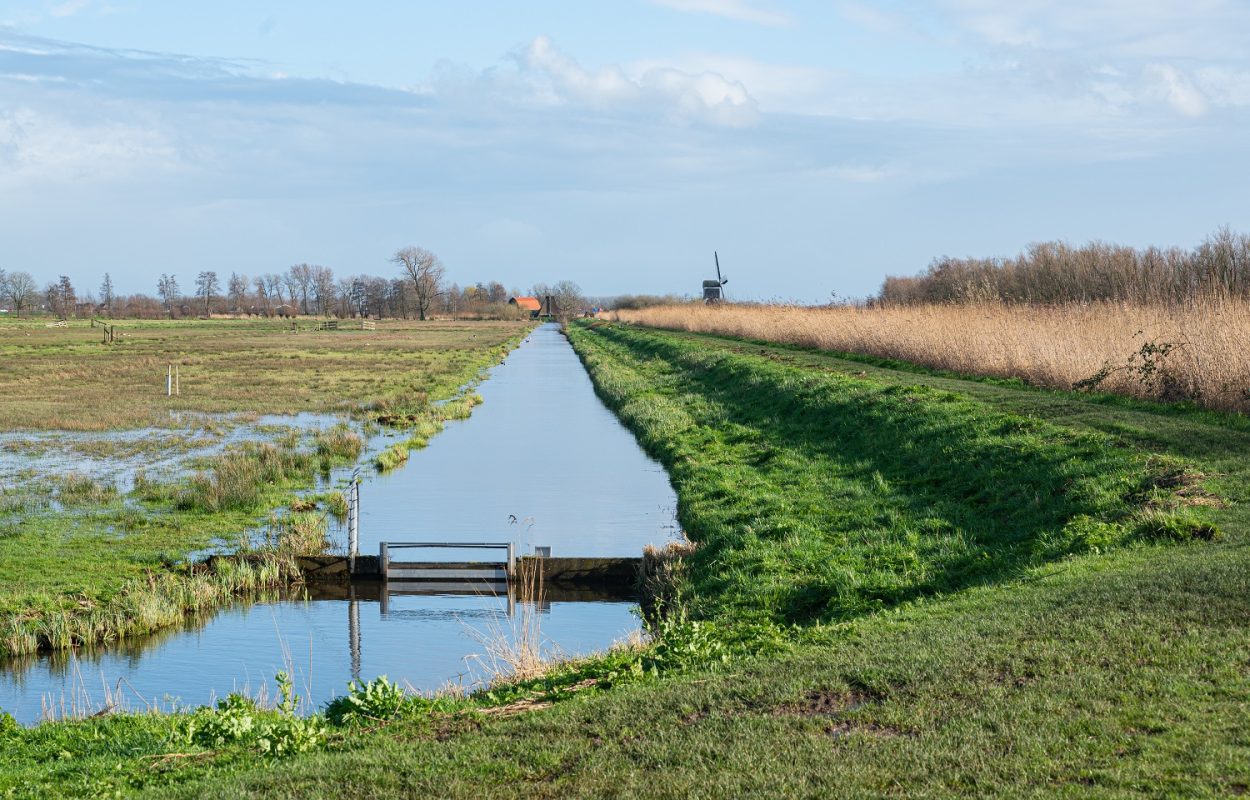 Natuurgebied Zouweboezem bij Sluis