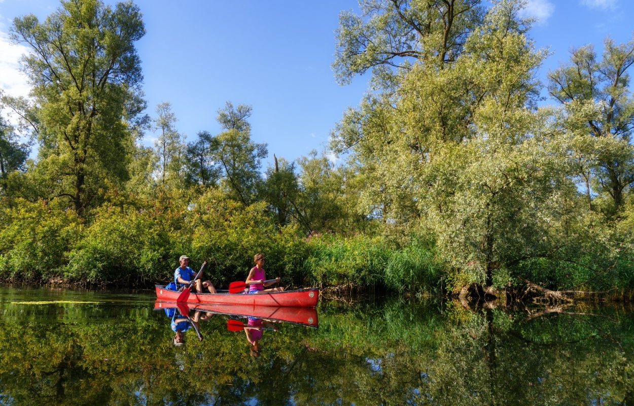 Wampex Biesbosch