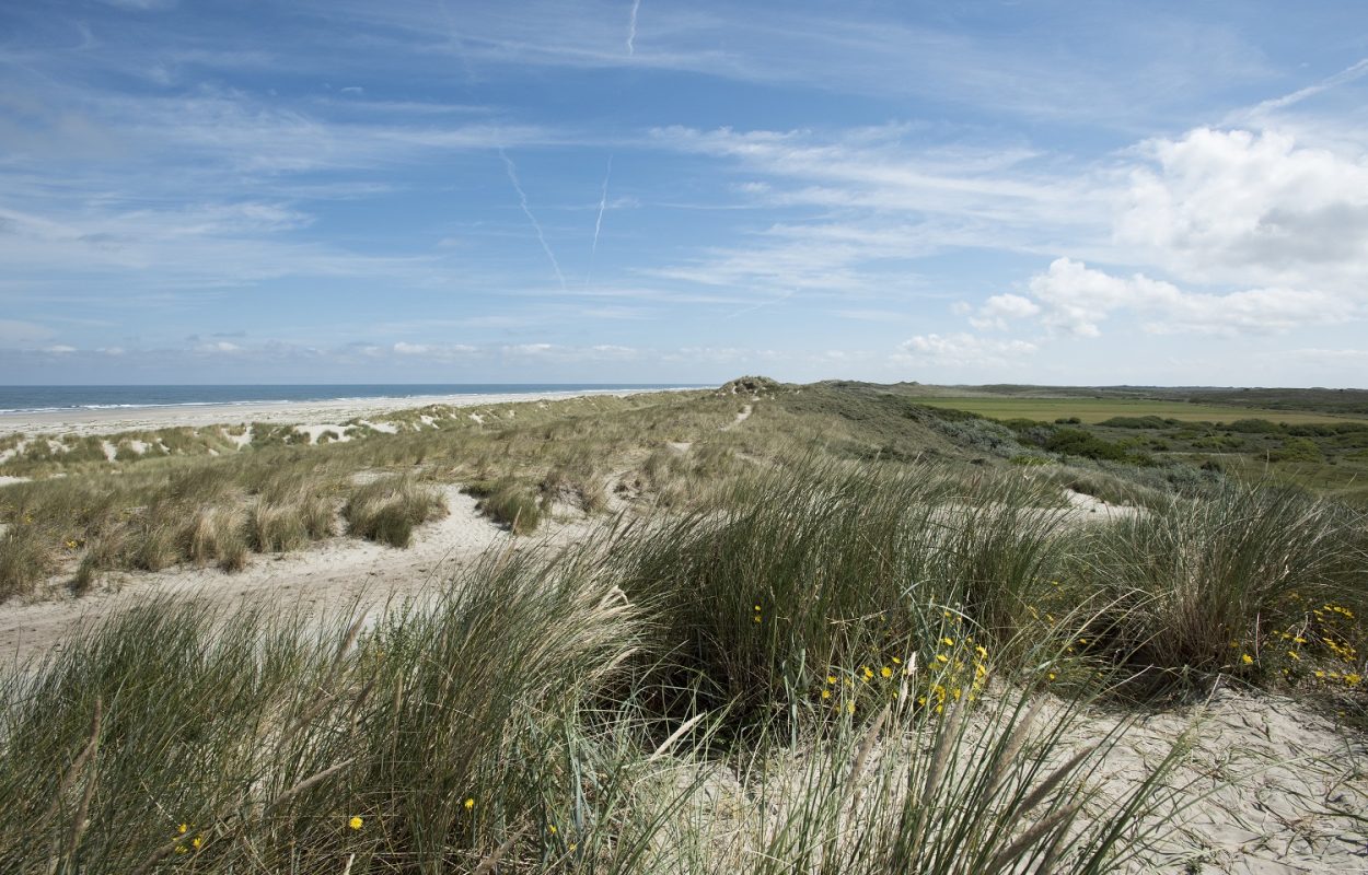 Fietsroute Terschelling