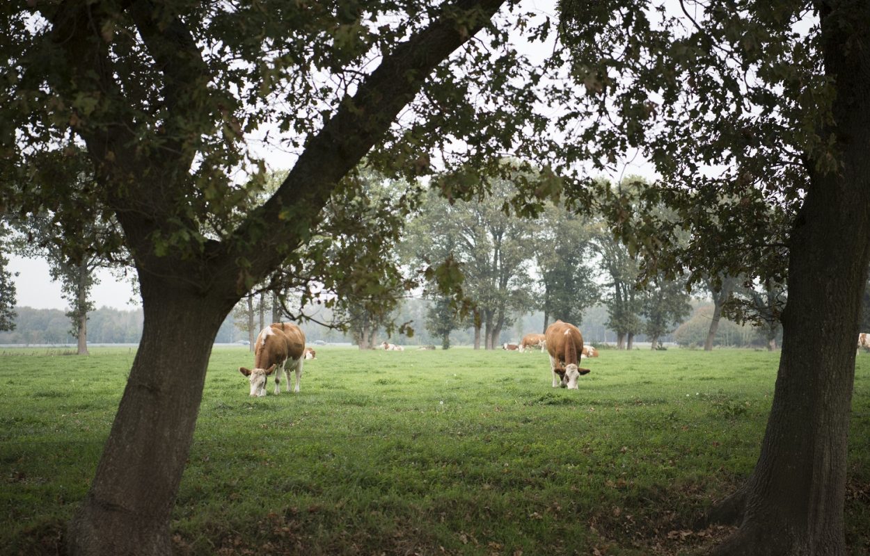 fietsroute Meppel