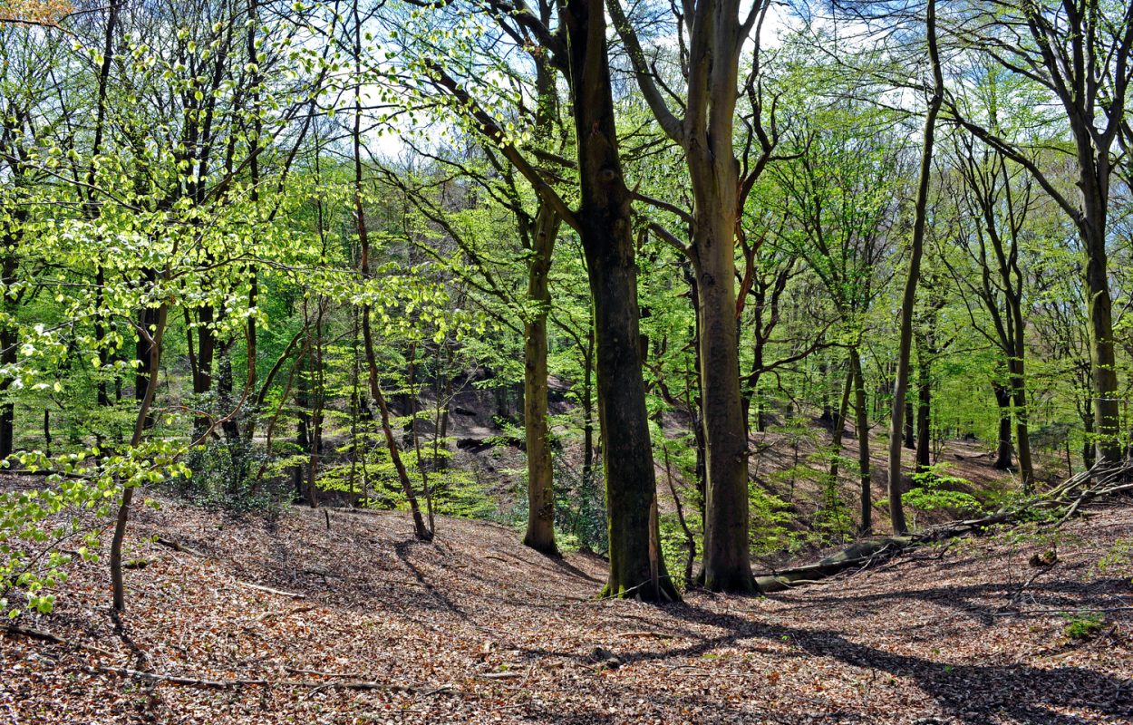 genomineerden beste wandelroute