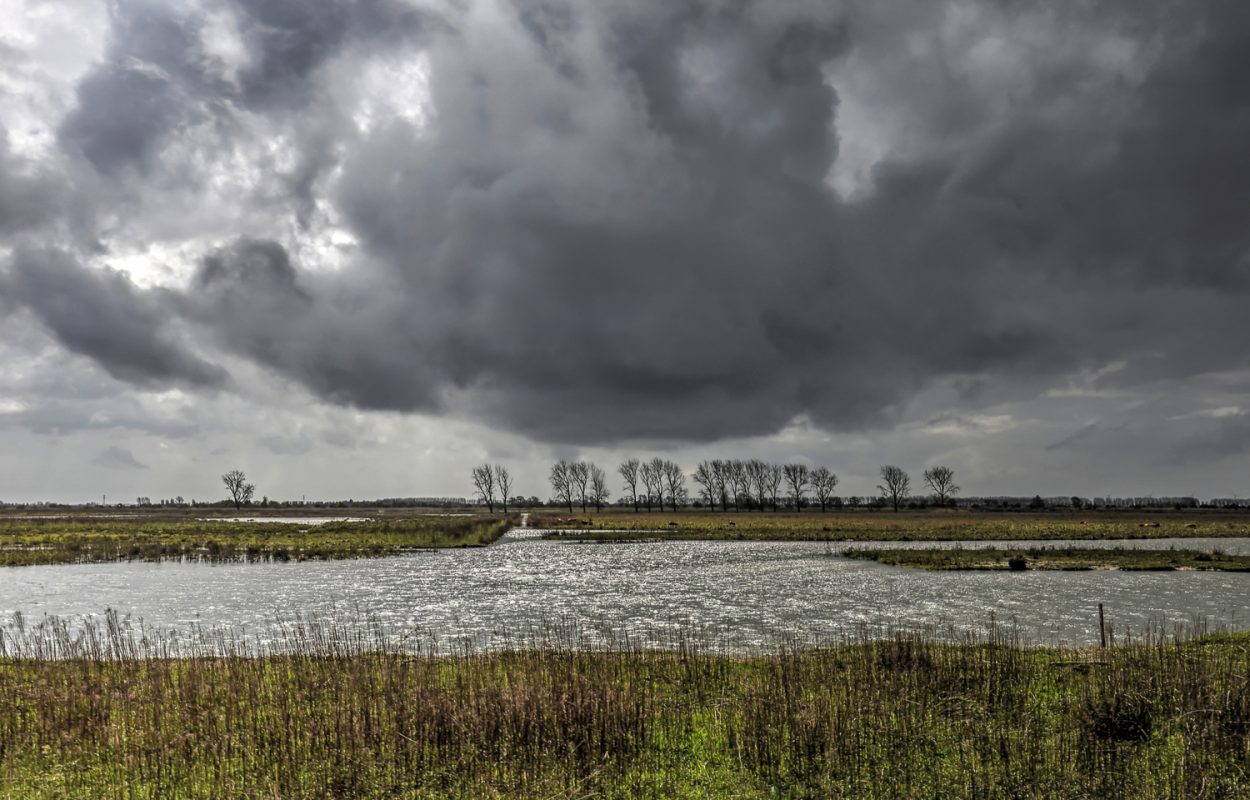 wandelen in de regen