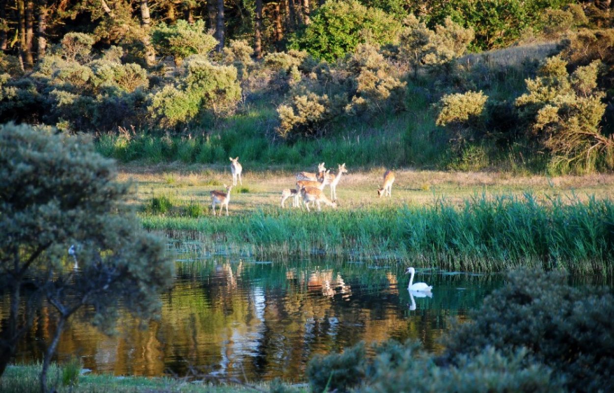 Dag van het Nationaal Park