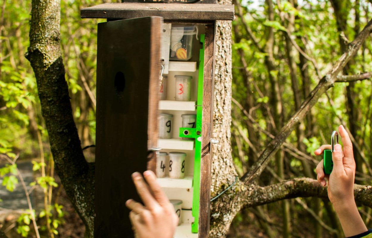 geocaching