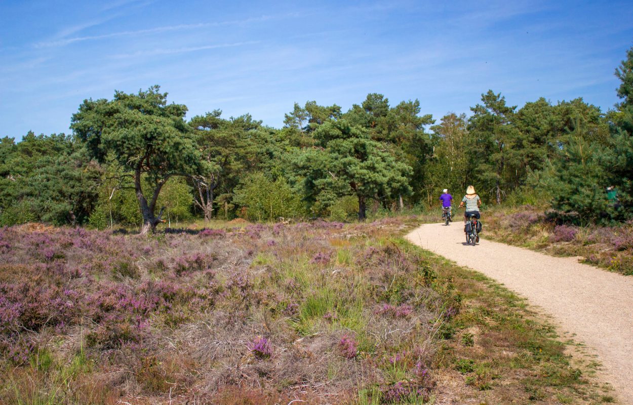 Limburgse Maasroute: fietsen langs tien kunstwerken