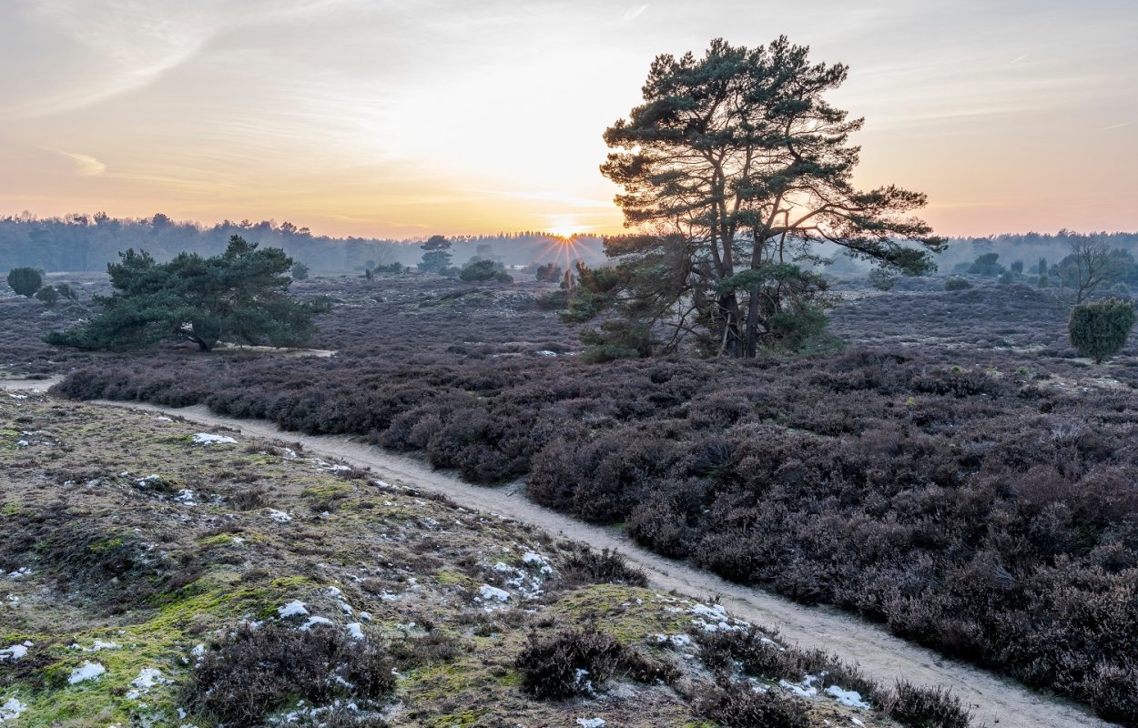 Nederlandse heuvels