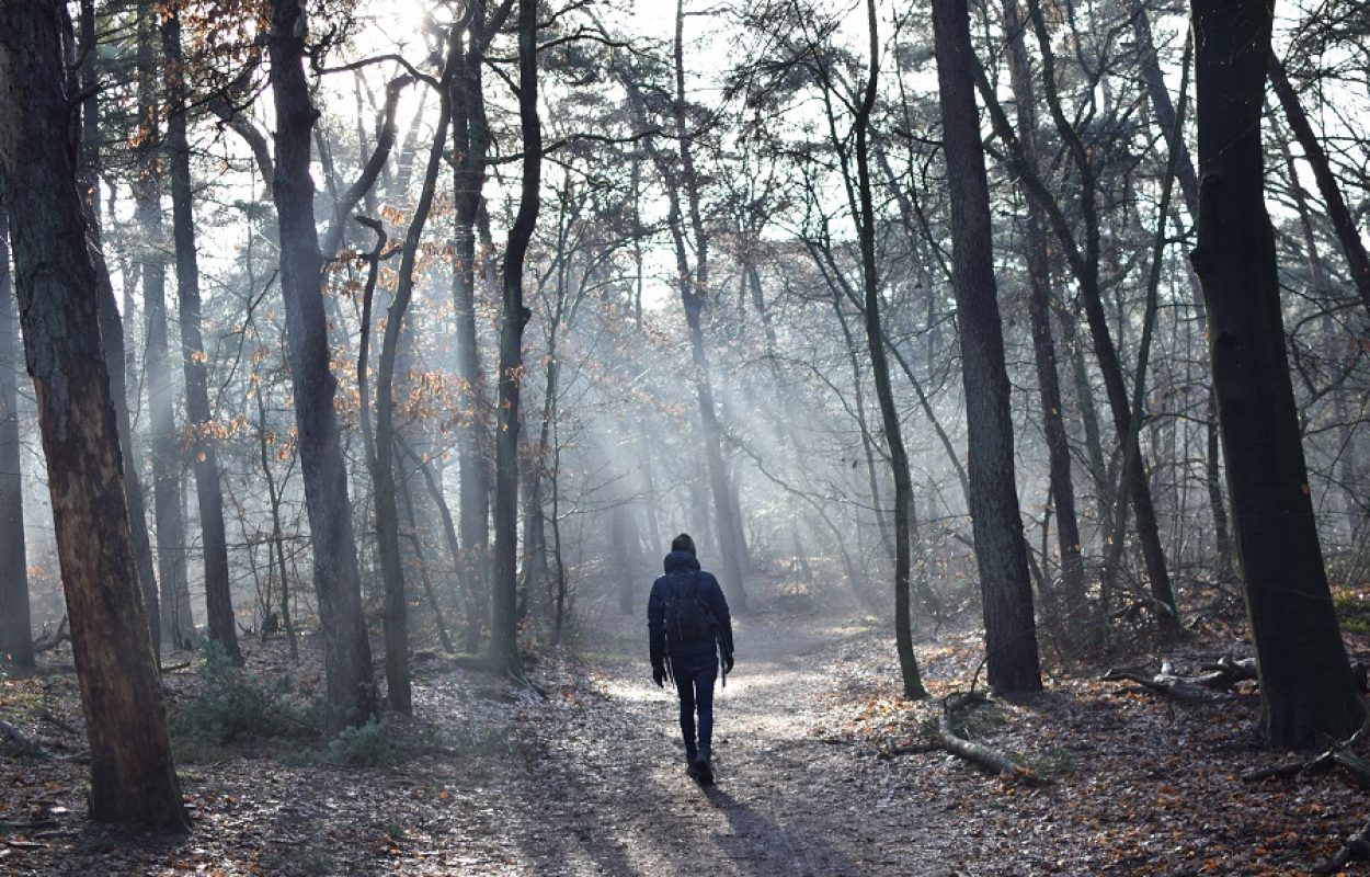 wandelen gezond