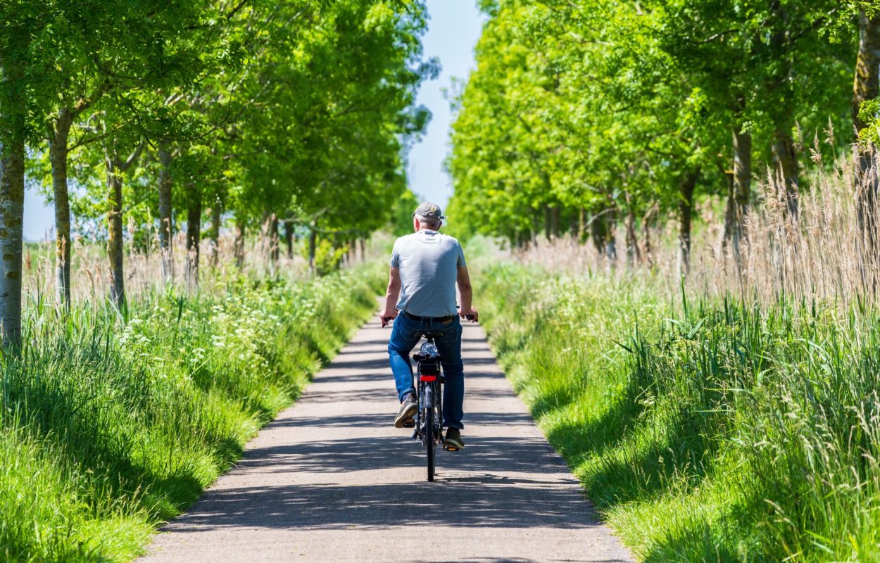 Nature-based therapy kan helpen om je gezondheid en welzijn te ondersteunen.