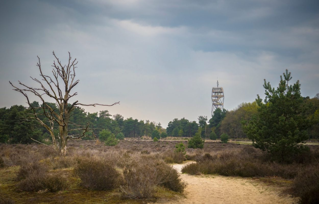 de brandtoren op de Kalmthoutse Heide is tijdens de Dag van de Stilte uitzonderlijk toegankelijk voor het publiek