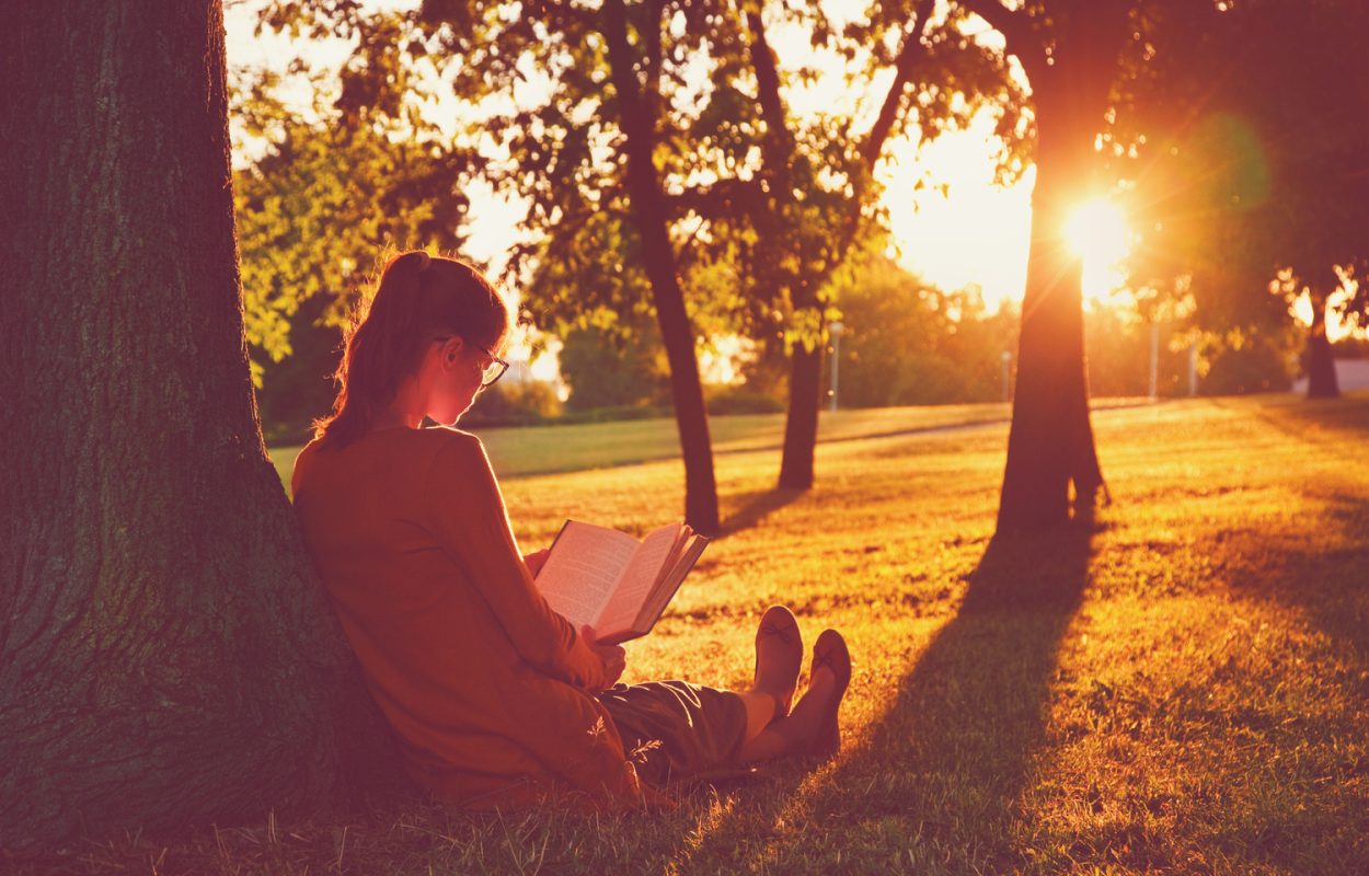 wereld boeken dag