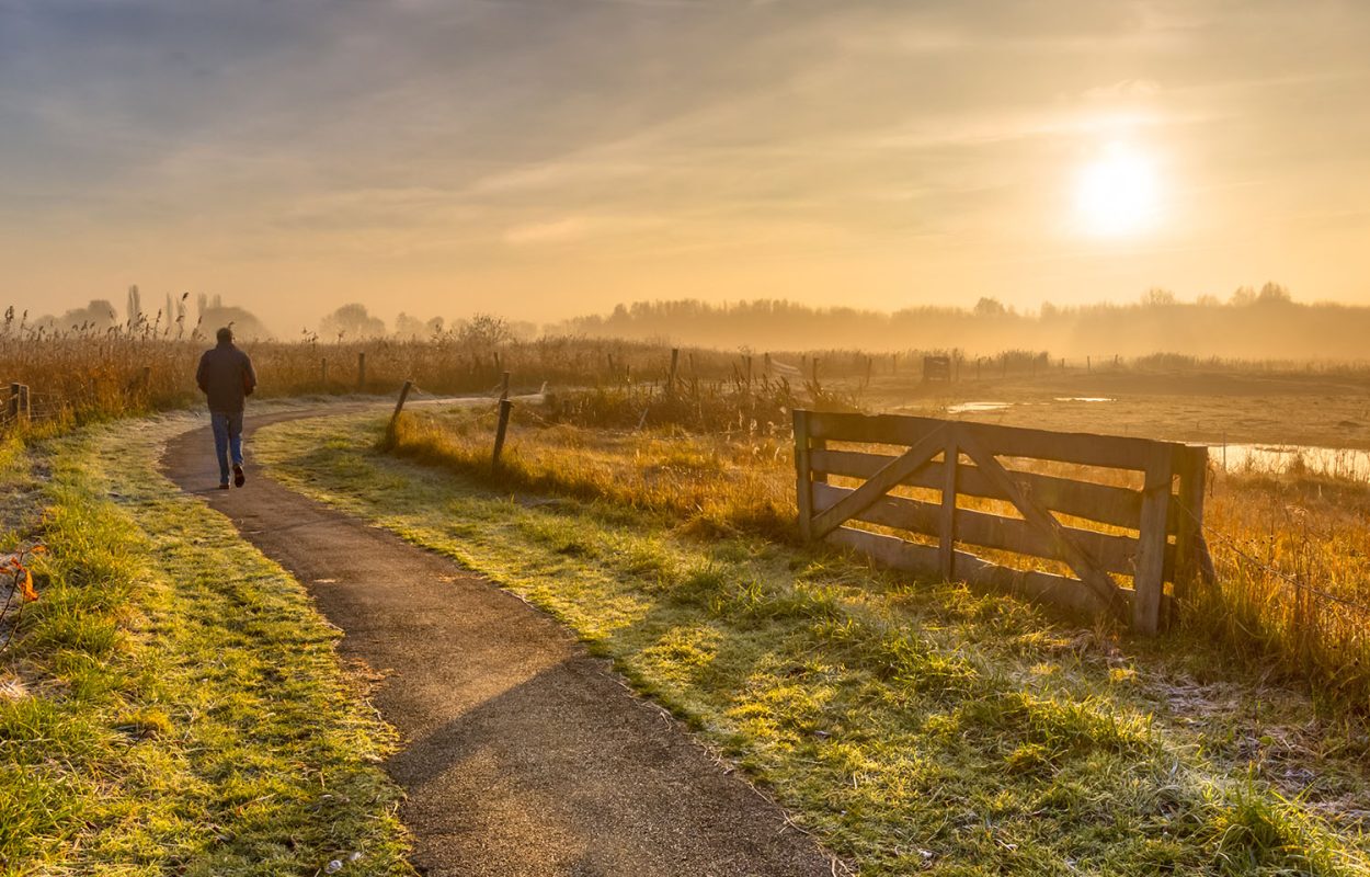 Wandelen